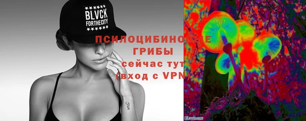 ПСИЛОЦИБИНОВЫЕ ГРИБЫ Абдулино