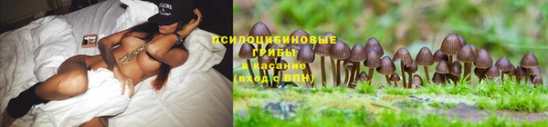 прущая мука Абаза