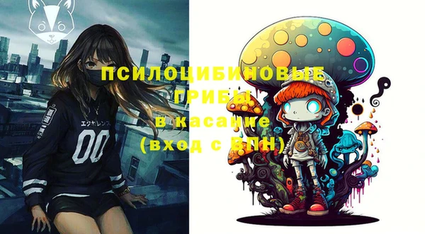 ПСИЛОЦИБИНОВЫЕ ГРИБЫ Абдулино